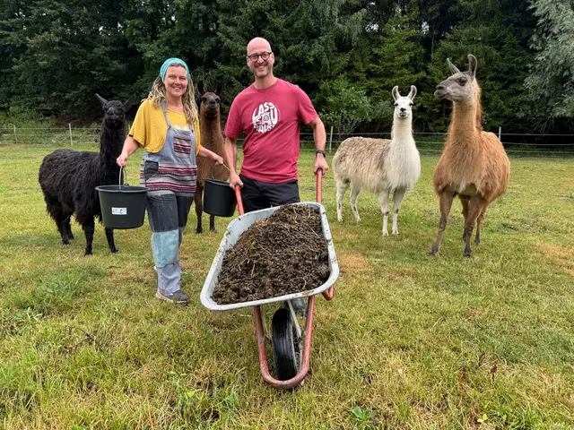 Andreas und Elisabeth Nussbaumer mit ihren Lamas. | Foto: Andreas Nussbaumer