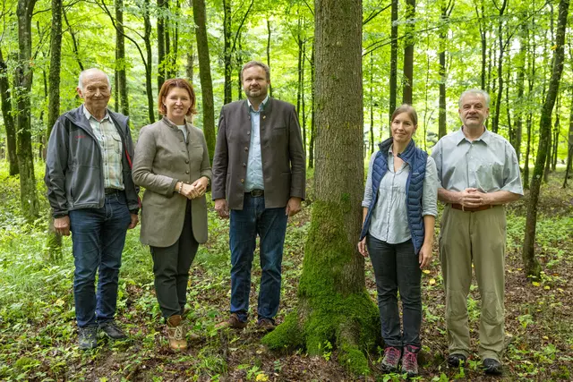 Von links: Waldbauer Josef Resl, Forst-Landesrätin Michaela Langer-Weninger, Landesforstdirektor Gottfried Diwold, Waldbau-Expertin Gabriele Wieser (OÖ Landesforstdienst) und BOKU-Professor Eduard Hochbichler. | Foto: Land OÖ/Lina Spenlingwimmer