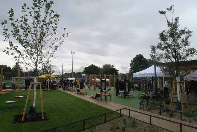 Foto: Patricia Hillinger/MeinBezirk