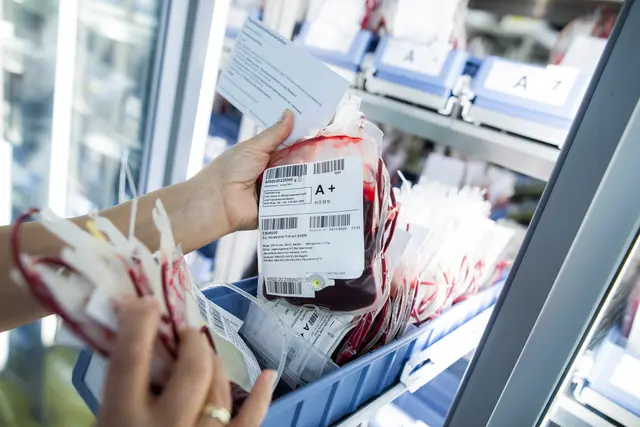 Nahezu jedes Krankenhaus der KAGes verfügt über ein eigenes Blutdepot, das von der UBT beliefert wird. Lediglich im Grazer Zentralraum beziehen die LKH die benötigten Blutprodukte direkt von der UBT. | Foto: Marija Kanizaj / LKH-Univ. Klinikum Graz