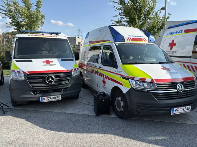 Foto: Andreas Pölzl/MeinBezirk