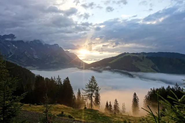 Österreich erwartet ein sommerliches Wochenende mit viel Sonne, steigenden Temperaturen und teils kräftigen Gewittern – vor allem im Bergland und Westen. | Foto: Theresia Pfeiffenberger