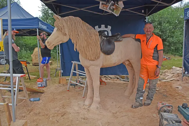 Letztes Jahr ging Platz 2 an Heinz Wurzer aus Marbach für seinen Haflinger. | Foto: Adelheid Kamin (Archiv)