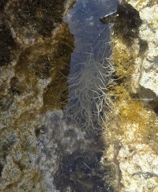 Foto: IMS Langenhart