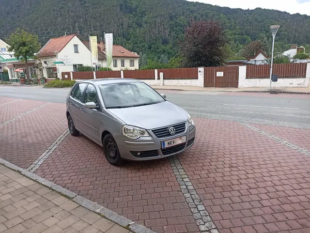 Der Kunstparker zwischen den Parkflächen in der Gloggnitzer Wiener-Straße. | Foto: Corinna R.