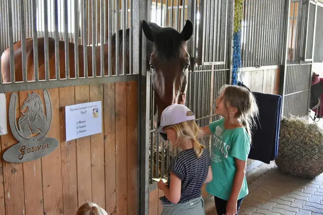 Den Pferden ganz nah. | Foto: privat