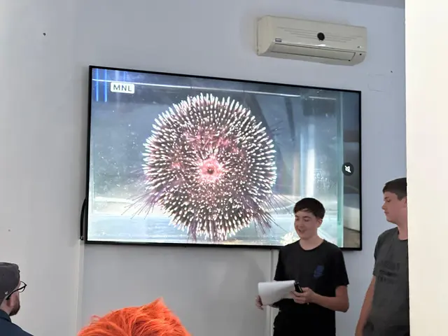 Foto: IMS Langenhart