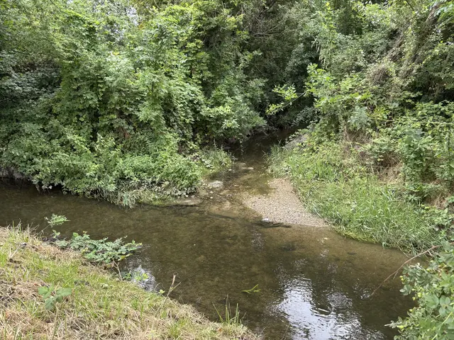 Durch die Maßnahme soll die Wasserqualität des Eisbaches auch bei Starkregen deutlich verbessert werden. | Foto: Stefan Schneider