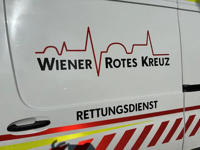 Foto: Andreas Pölzl/MeinBezirk