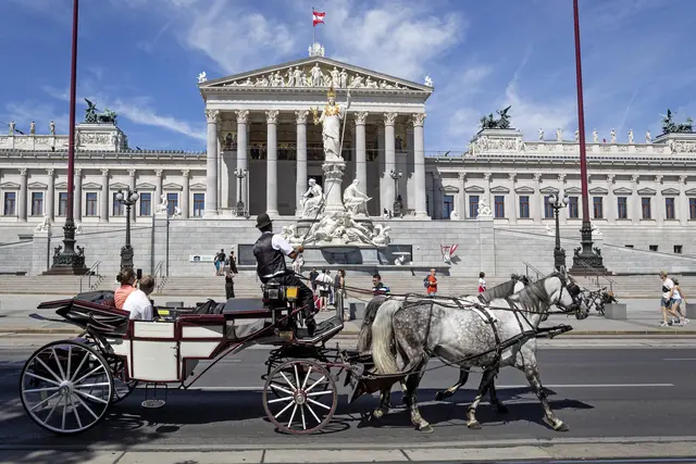 Die Petition setzt sich dafür ein, dass die Fiakerpferde bei hochsommerlichen Temperaturen künftig früher Hitzefrei bekommen sollten.  | Foto:  Peter Weingartner / Weingartner-Foto / picturedesk.com
