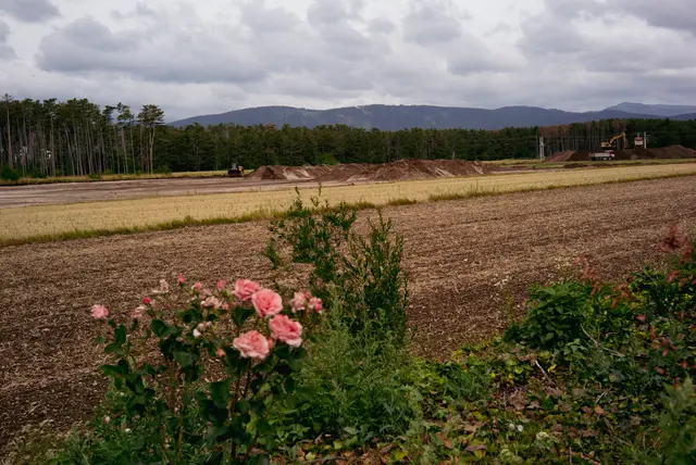 Im Föhrenwald laufen die Vorbereitungen des Baus des neuen Sägewerks Kirnbauer. | Foto: Santrucek