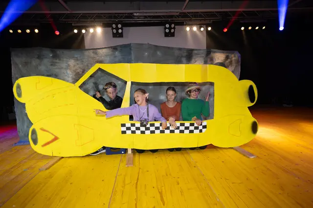 Playback-Show | Foto: Karl Pils