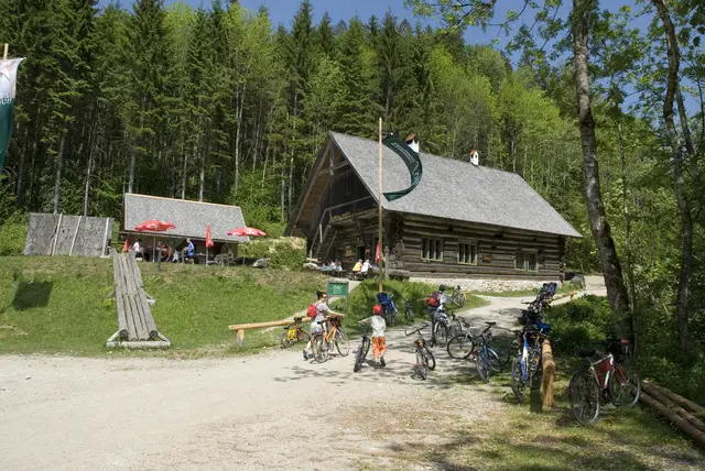 Im Rahmen des 100- jährigen Jubiläums der Österreichischen Bundesforste wird es ein Aufleben der früher beliebten Radveranstaltung „Fit radle mit“ im Nationalpark Kalkalpen geben. | Foto: ÖBF/T. Aichinger