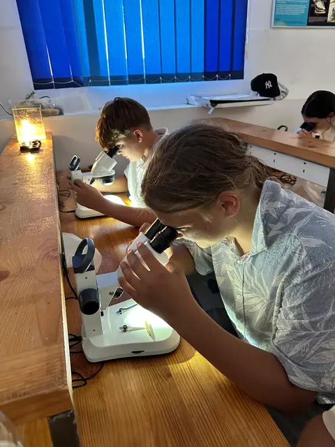 Foto: IMS Langenhart