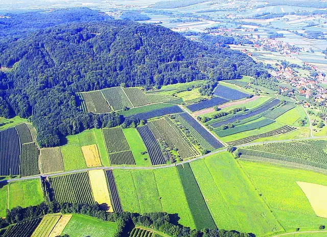 Vor 6500 Jahren war der Königsberg bereits besiedelt. | Foto: Johann Schleich