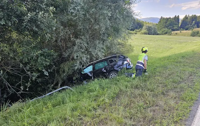 Der Pkw kam im Straßengraben zum Stillstand. | Foto: HFW Villach