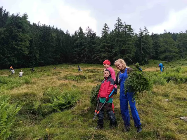 Fichtenschwenden auf der Gumpenalm: Eine Woche lang werden in der Sölk gemeinsam wertvolle
Almweideflächen gepflegt und damit für die Zukunft erhalten. | Foto: Johanna Rotheneder
