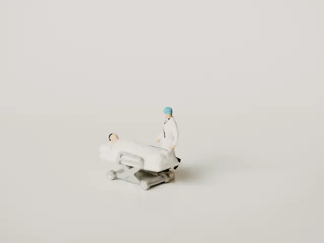 Foto: Unsplash/annie-spratt