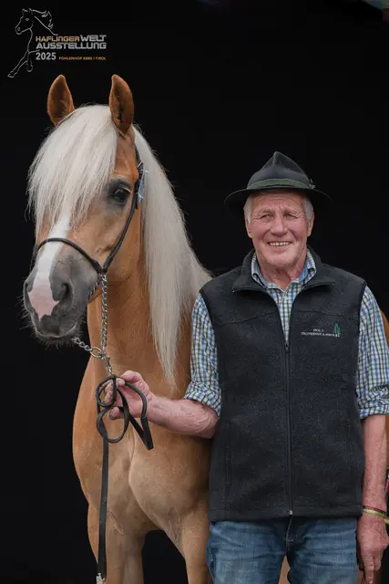 Sepp Unterkirchner aus Goldegg Weng war einer der vielen erfolgreichen Pongauer Teilnehmer bei der Haflinger Weltausstellung. | Foto: Zauberlicht Fotografie