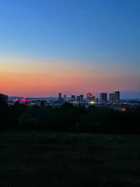 Die Parkanlage Löwygrube bietet einen atemberaubenden Blick auf Wien – und mit etwas Glück auch auf die Perseiden. (Archiv) | Foto: Tianchi Jiang