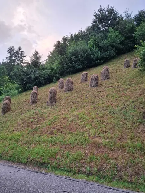 Foto: Matthias Kaml