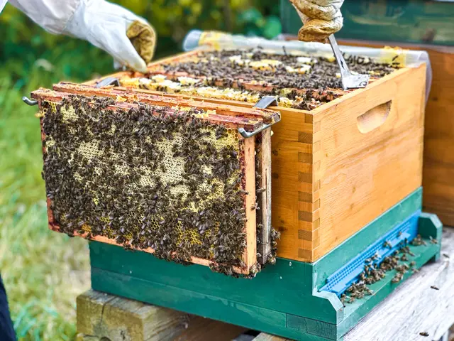 Foto: Sophia Hartsch