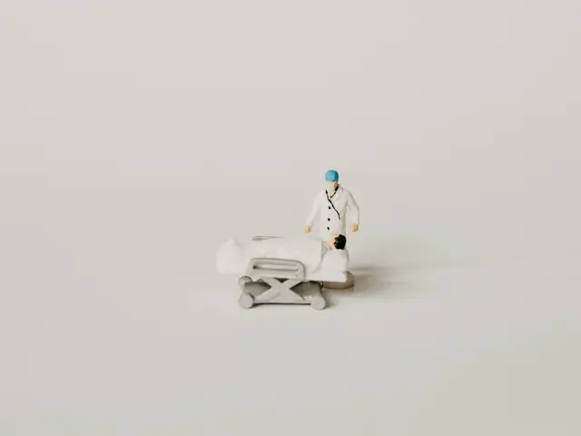Foto: Unsplash/annie-spratt