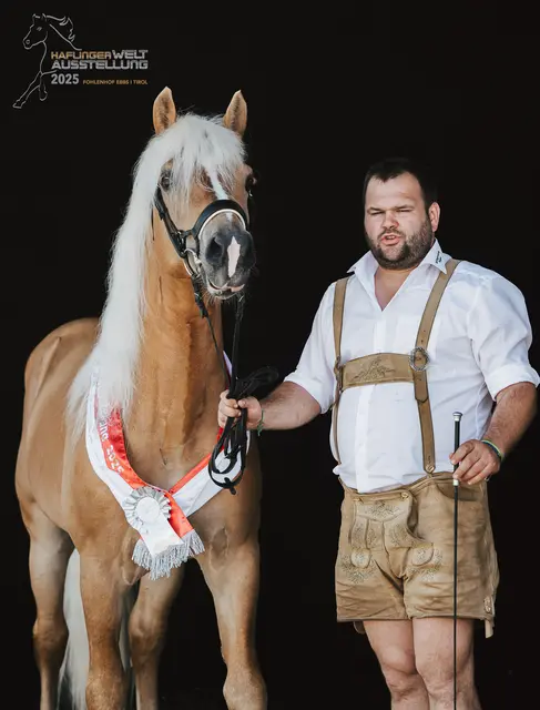 Markus Hettegger mit Deckhengst Avalon vom Haflingerverein Pongau | Foto: Zauberlicht Fotografie