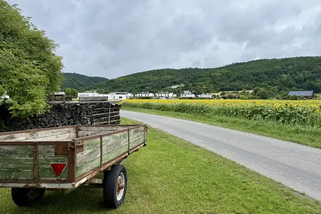 Die Instandhaltung der Güterwege – hier bei Mödring – ist eine Notwendigkeit für die ländliche Infrastruktur. | Foto: VP Langau