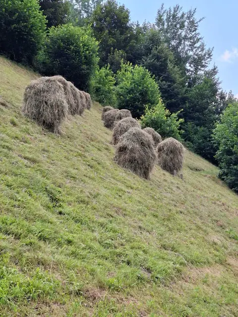 Foto: Matthias Kaml