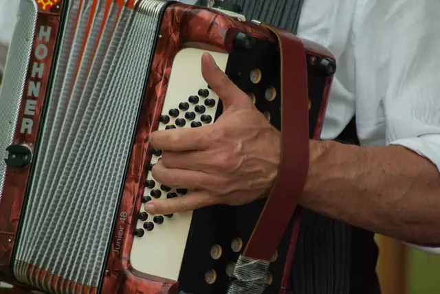 Helmut Höllriegl wird singen und die Lesung gestalten, Milos Avramovic begleitet mit Akkordeon und Bandoneon. | Foto: pixabay/jackmac34