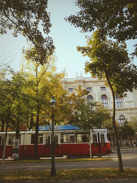 Foto: Antonio Šećerović/MeinBezirk