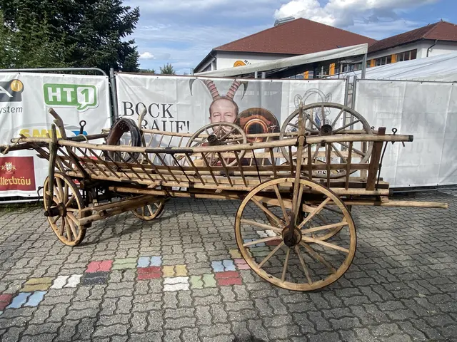 Foto: Musikverein/Martin Kumpfmüller