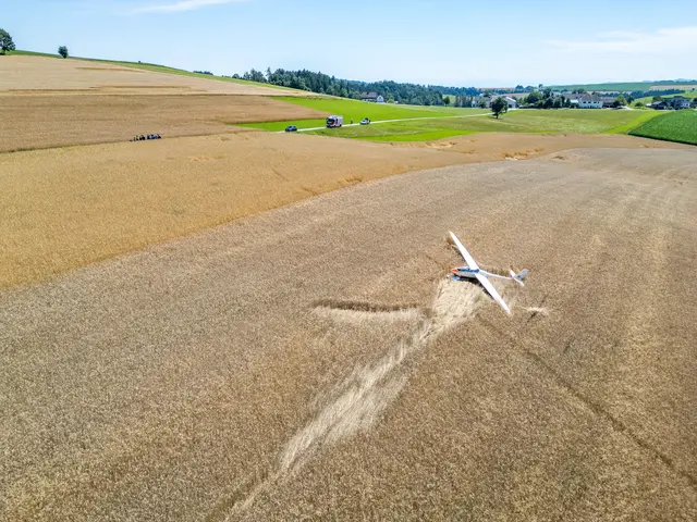Foto: TEAM FOTOKERSCHI / MARTIN SCHARINGER