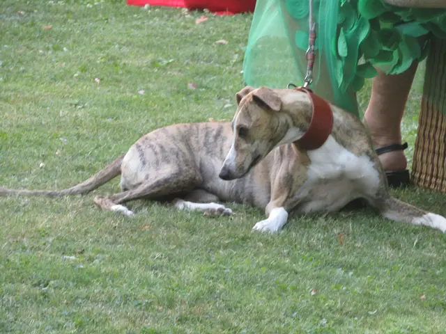 Foto: Peter Sattler