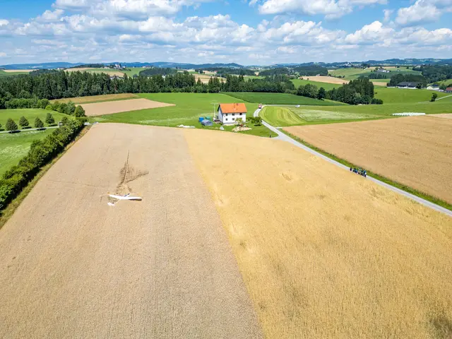 Foto: TEAM FOTOKERSCHI / MARTIN SCHARINGER