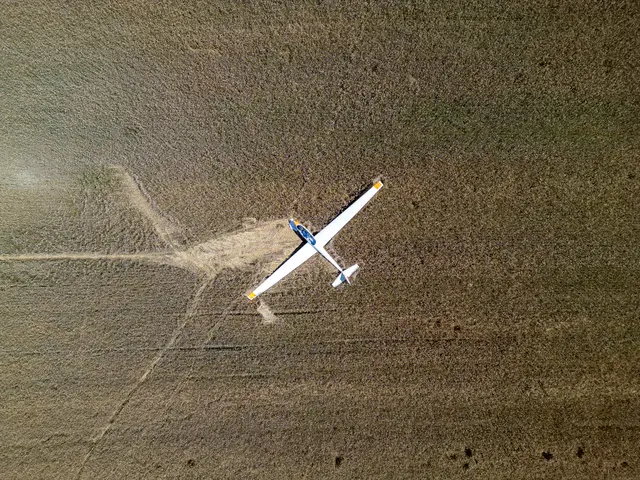 Foto: TEAM FOTOKERSCHI / MARTIN SCHARINGER