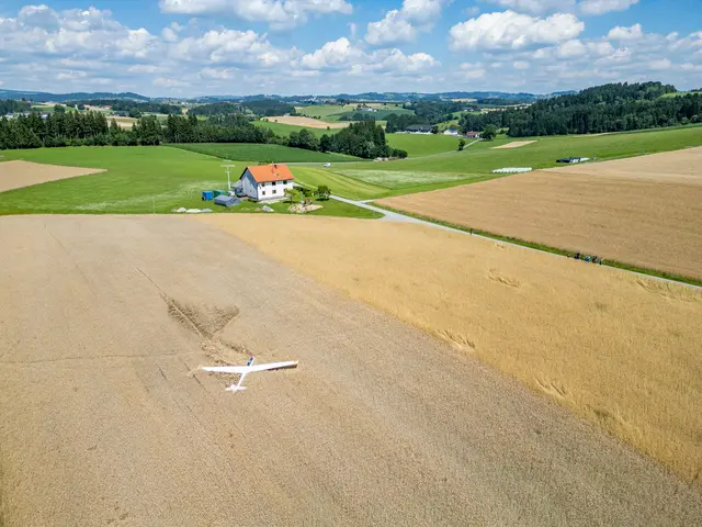 Foto: TEAM FOTOKERSCHI / MARTIN SCHARINGER