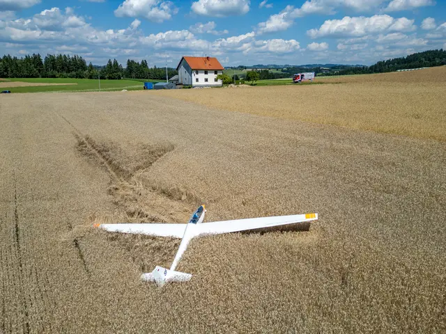 Foto: TEAM FOTOKERSCHI / MARTIN SCHARINGER