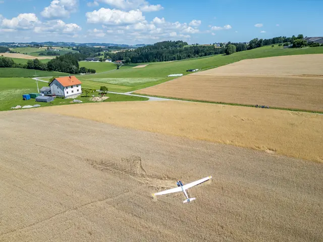 Foto: TEAM FOTOKERSCHI / MARTIN SCHARINGER