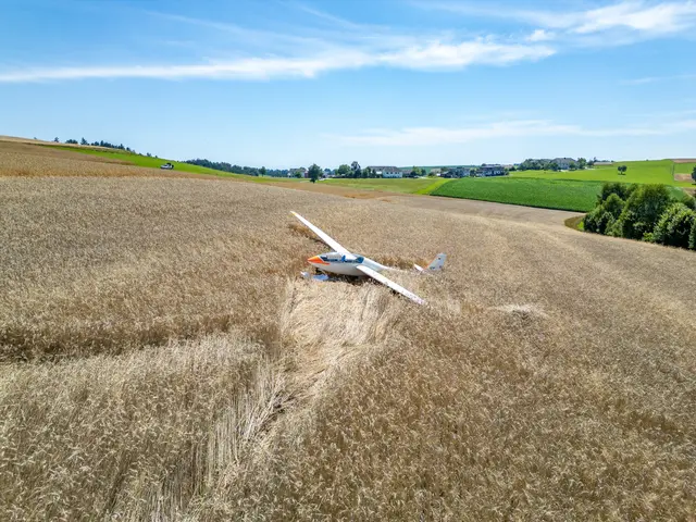 Foto: TEAM FOTOKERSCHI / MARTIN SCHARINGER