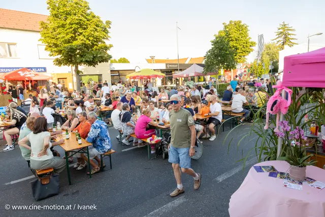 Foto: www.cine-motion.at / Ivanek