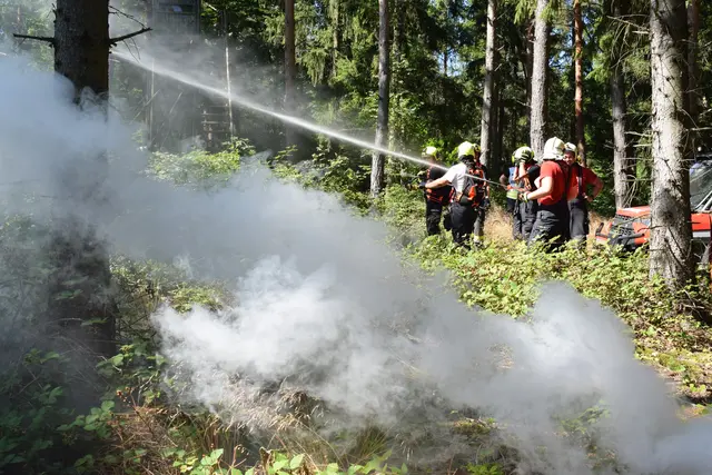 Übungsszenario war ein simulierter Vegetationsbrand. | Foto: BFKDO Mattersburg