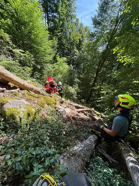 Foto: FF Hofkirchen im Mühlkreis