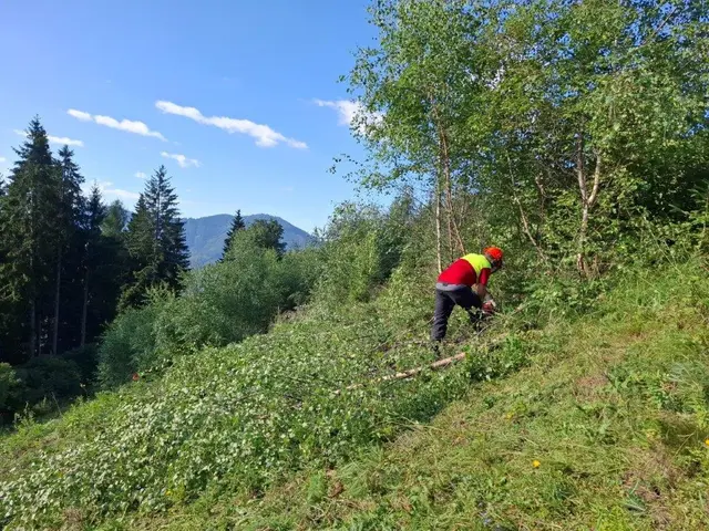 Großer Alm-Schwendtag am vergangenen Samstag in der gesamten Steiermark. | Foto: Privat