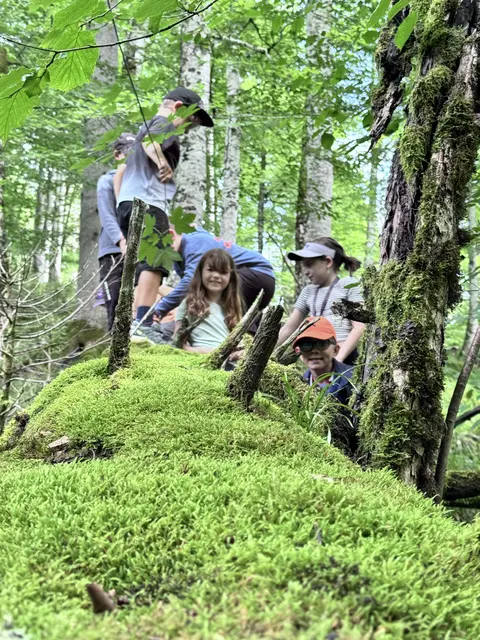 Jungerforscher unterwegs in der Waldwildnis des Nationalpark Kalkalpen. | Foto: KinderUni OÖ