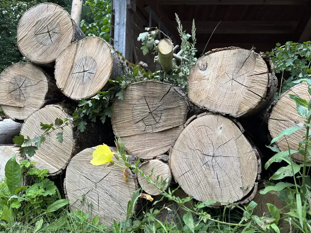 Angeboten werden unterschiedlichste Produkte: von Feldfrüchten und Stroh über Brennholz und Gemüse bis hin zu Reststoffen aus der Lebensmittelverarbeitung wie Kleie, Ölkuchen oder Maisstroh. | Foto: MeinBezirk