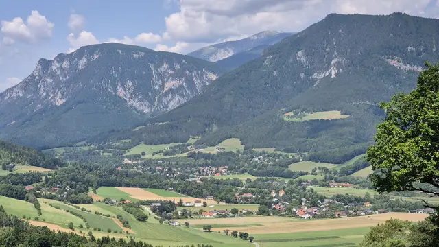 Wieder Payerbach 