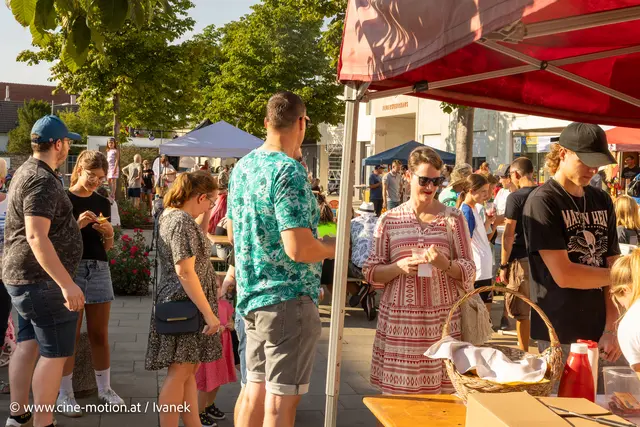 Foto: www.cine-motion.at / Ivanek