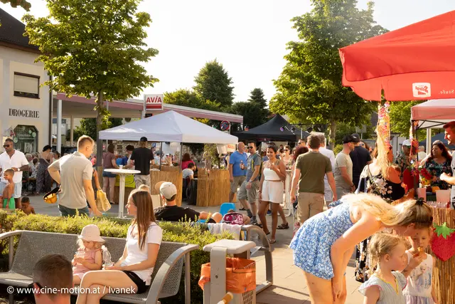 Foto: www.cine-motion.at / Ivanek